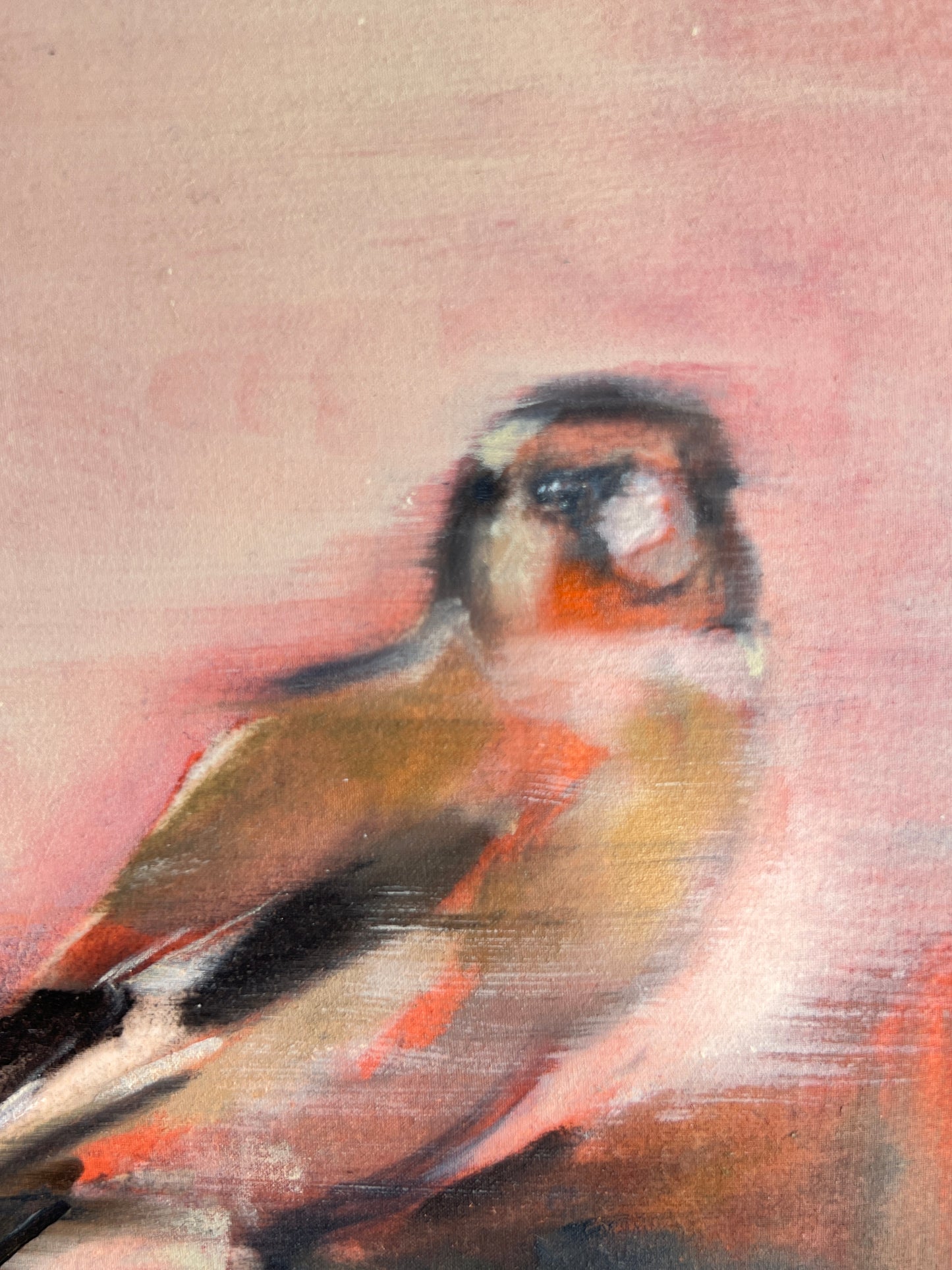 Fabritius’ Goldfinch after Richter