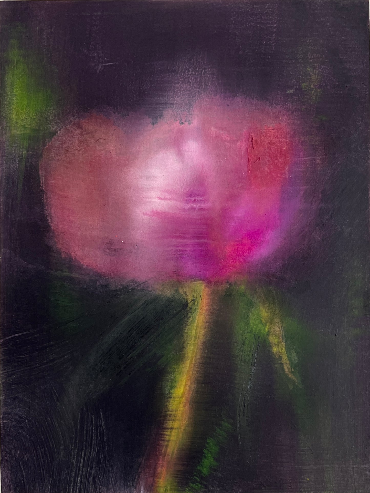 Tulip (from the 1970s Garden)