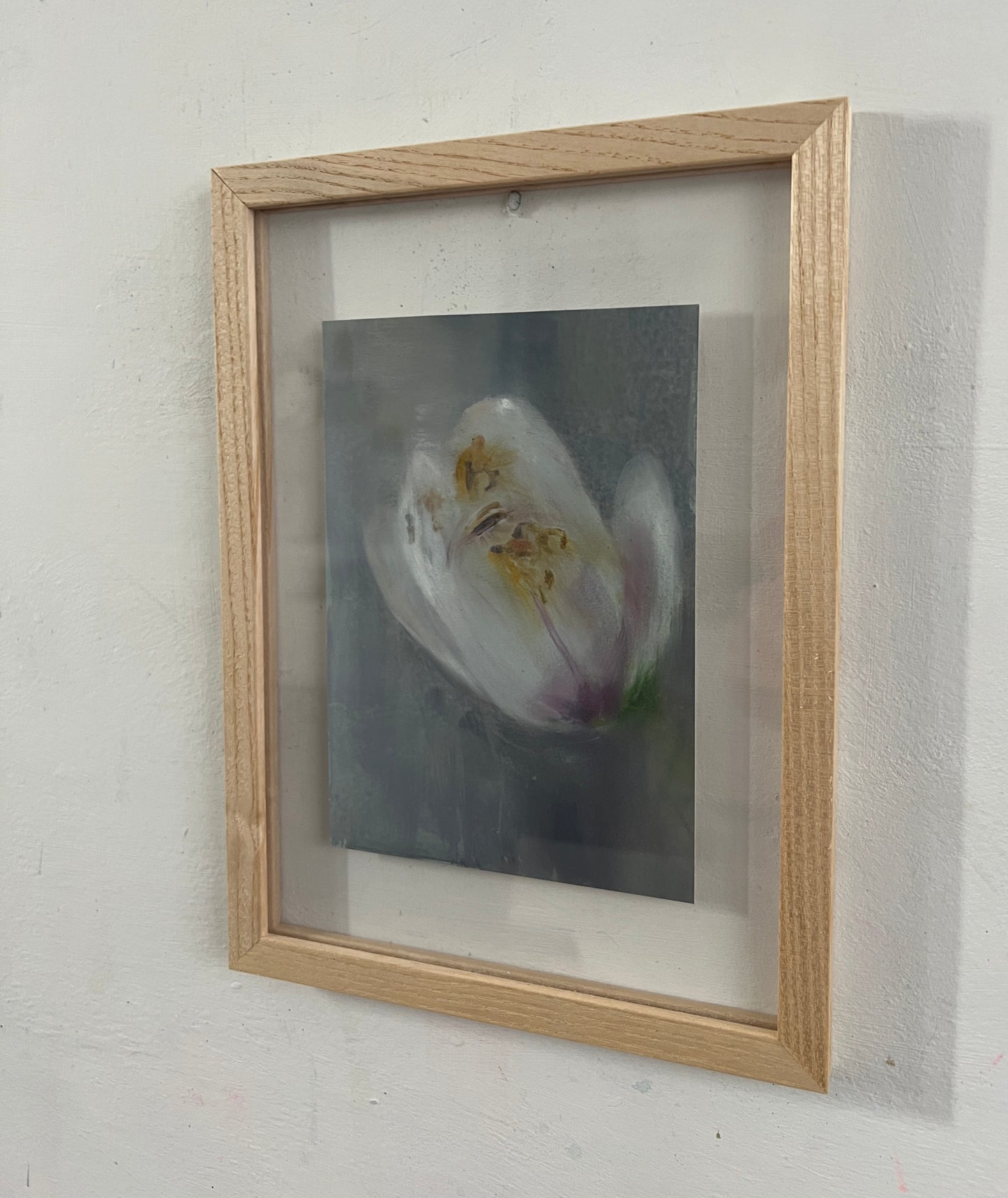 Magnolia (study on card)