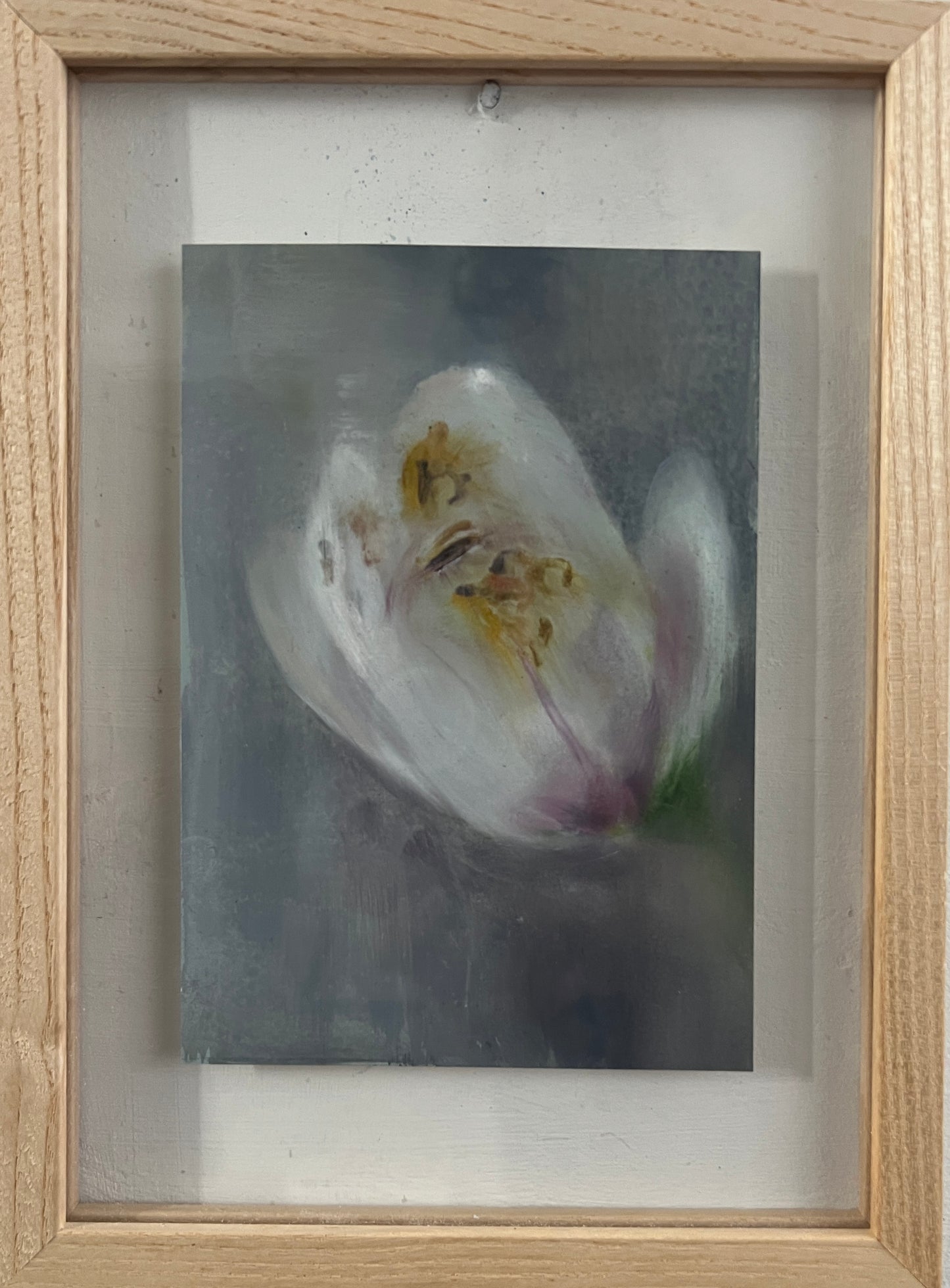 Magnolia (study on card)