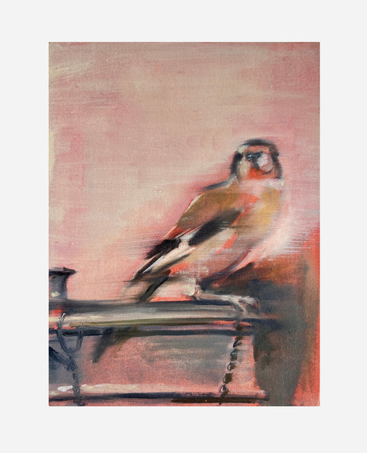 Fabritius’ Goldfinch after Richter