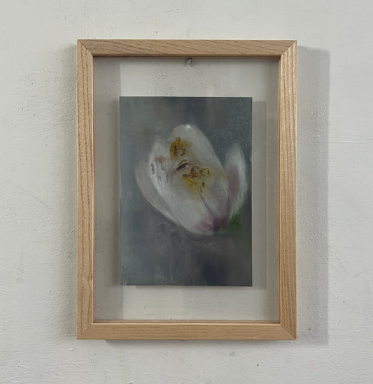 Magnolia (study on card)